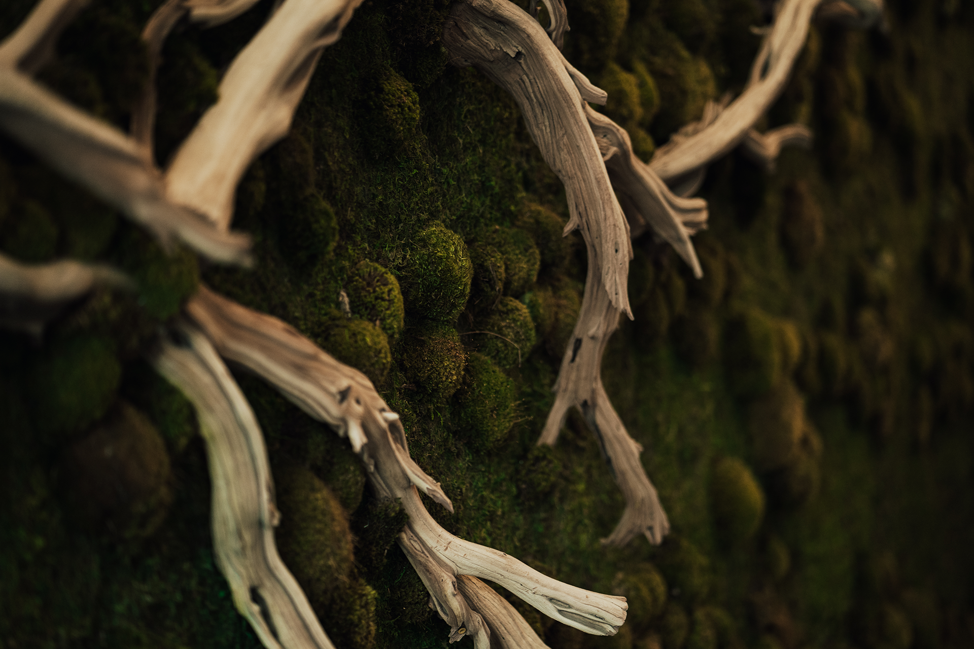 Interior shot of The Refuge Express Spa